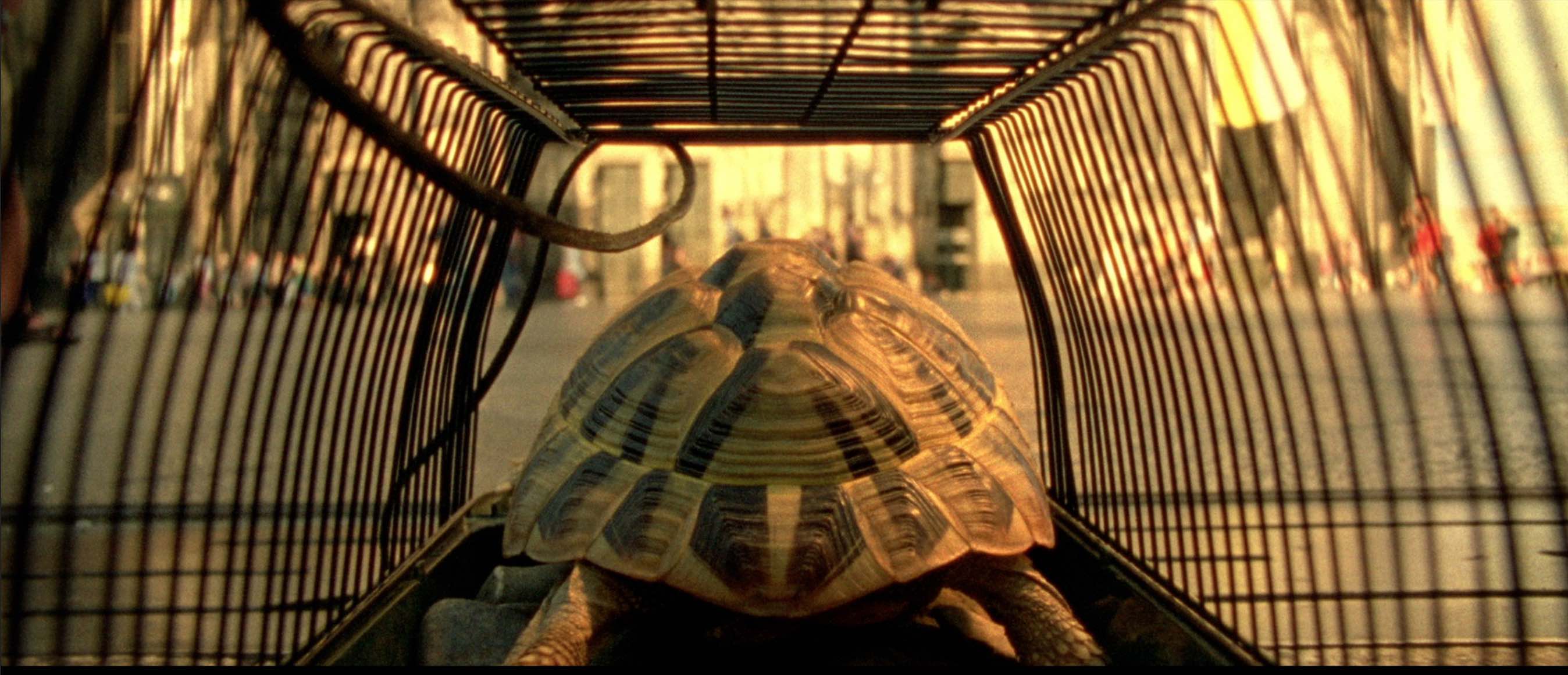 Zeit und Friedfertigkeit